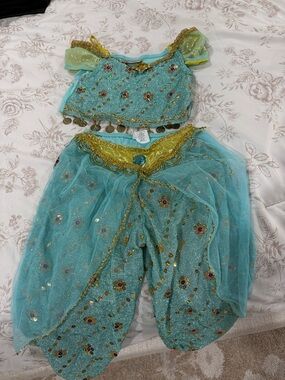 Disneyland park Jasmine Costume